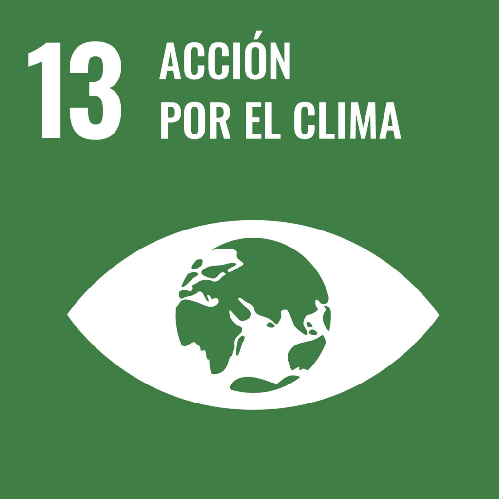 Objetivo de desarrollo sostenible de la ONU número 13: Acción por el clima